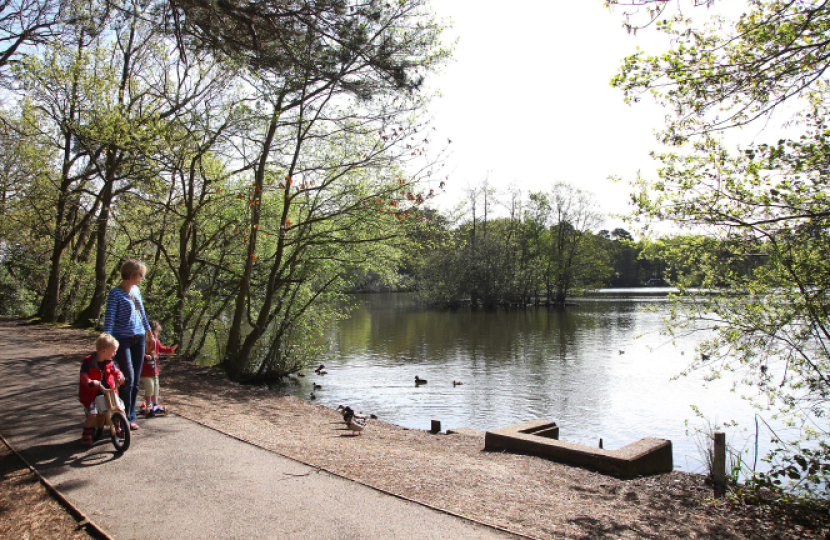 lake in park