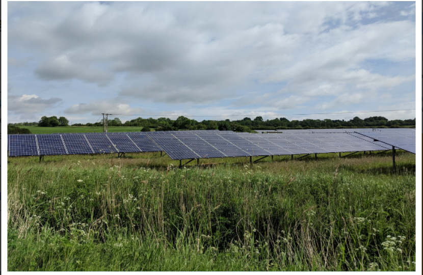 solar panels in field