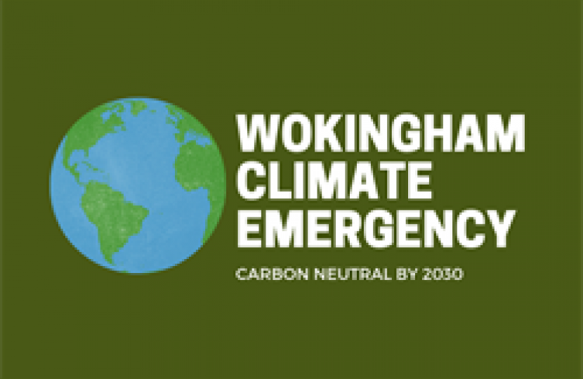 ceap wbc graphic