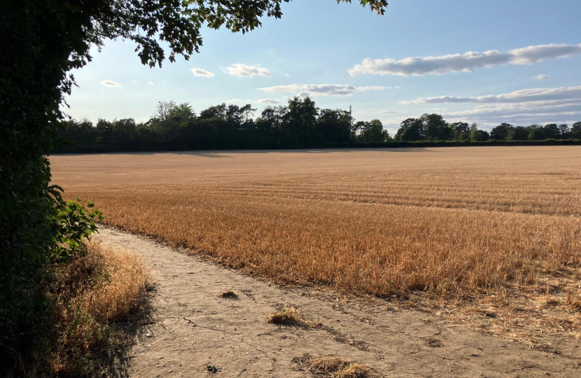Oppose unnecessary development on Green Belt land across the borough.