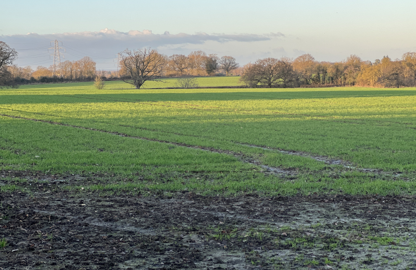 Arborfield