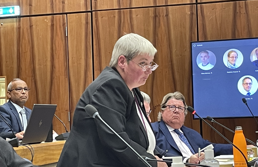 pj in council chamber