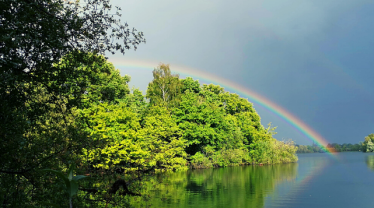 rainbow over lake in WBC