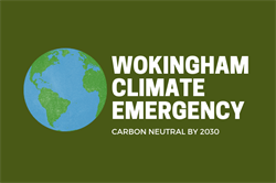 ceap wbc graphic